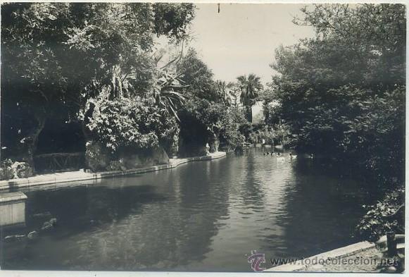 Postales: POSTAL DE CADIZ. PARQUE GENOVES. ESTANQUE   P-ANC-569
