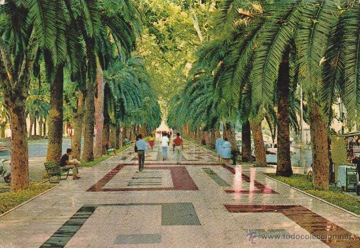 Postales: N&ordm; 14007 POSTAL PASEO DEL PARQUE MALAGA