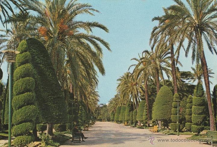 Postales: N&ordm; 14008 POSTAL PARQUE DE GENOVES CADIZ