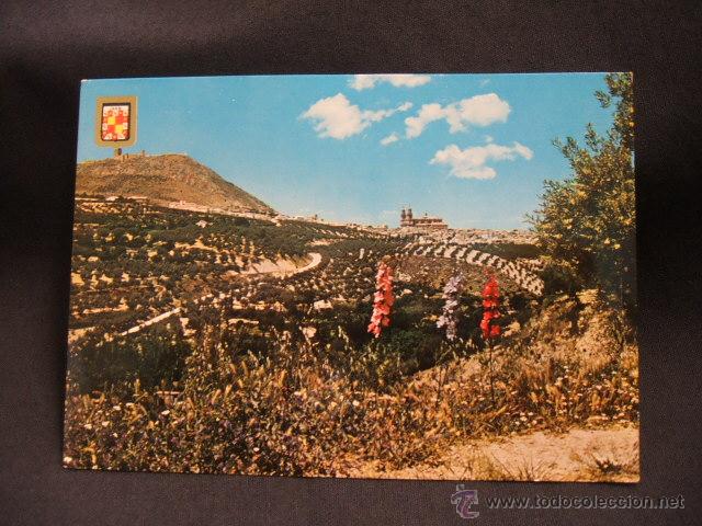 Postales: POSTAL - VISTA PARCIAL DE LA ALAMEDA - JAEN -