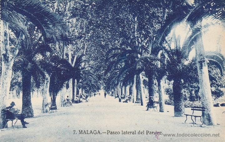 Postales: N&ordm; 16247 POSTAL PASEO LATERAL DEL PARQUE MALAGA