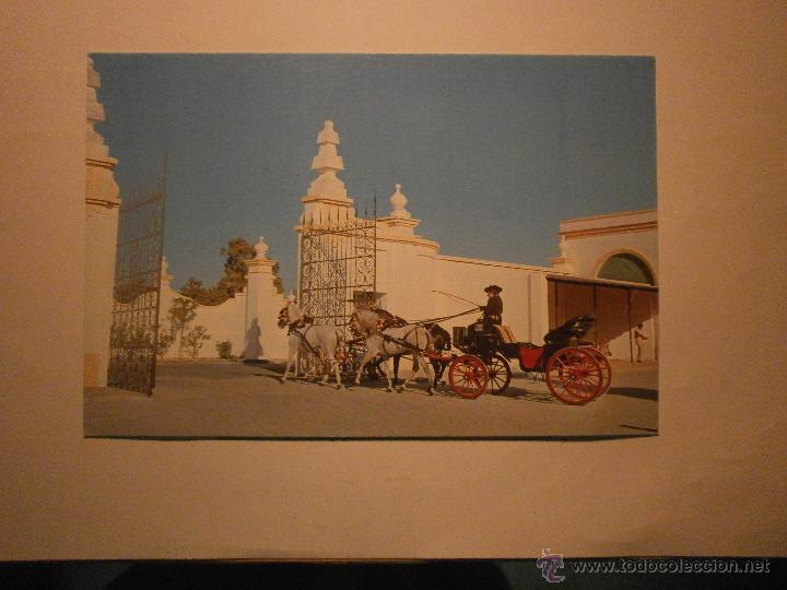 Postales: POSTAL PUERTO DE SANTA MARIA (CADIZ) CARRUAJE TIPICO ANDALUZ SIN CIRCULAR
