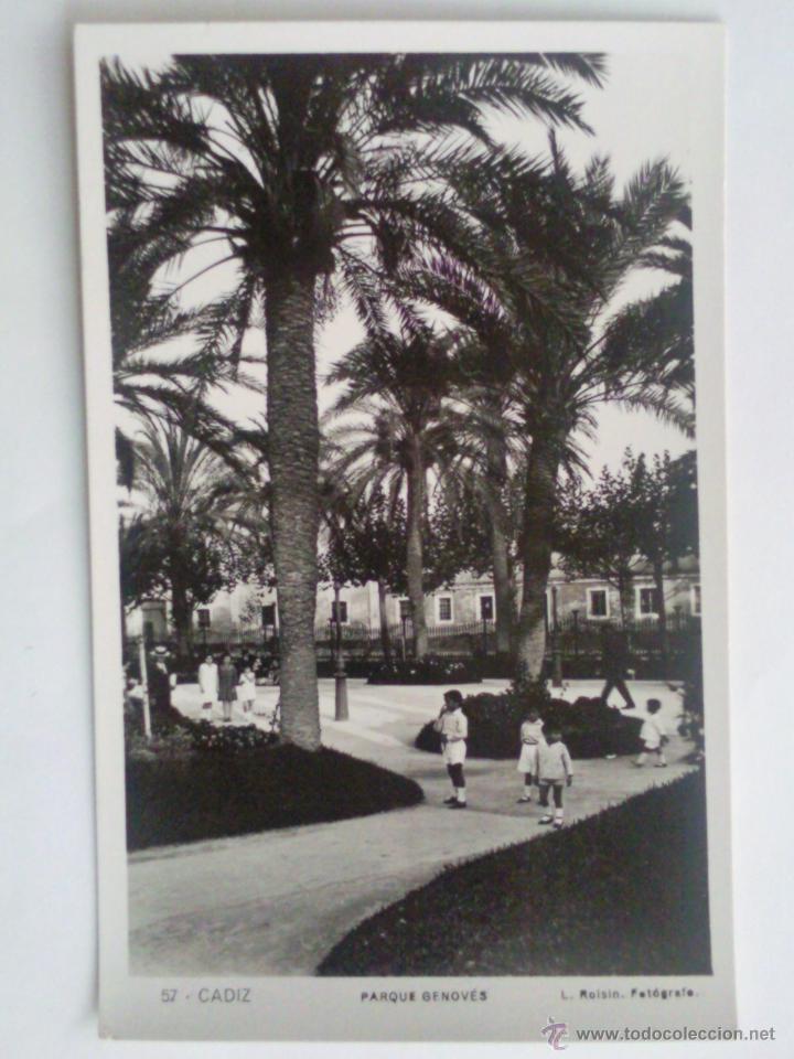 Postales: POSTAL CADIZ - PARQUE GENOVES, FOTOGRAFO L. ROISIN