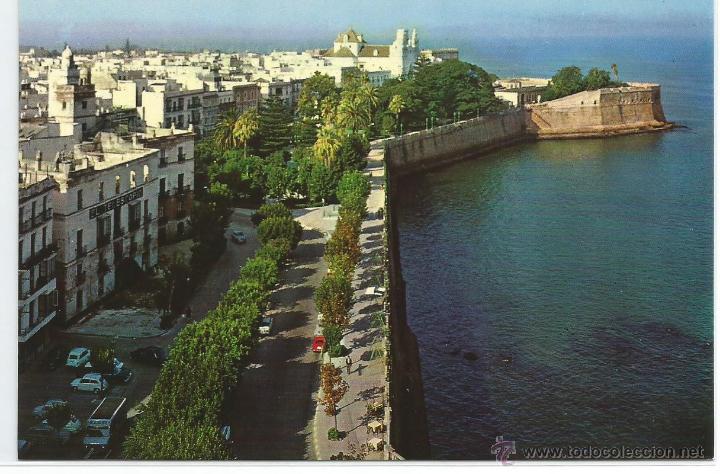 Postales: CADIZ N&ordm; 62 .- ALAMEDAS VISTA PARCIAL .- EDICIONES SICILIA