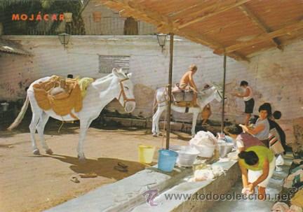 Postales: MOJACAR - LAVANDERIA TIPICA - LAVANDERAS - CABALLO - N&ordm; 45 ED,FLORESBA - A&Ntilde;O 1970 NUEVA