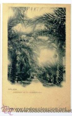 Postales: ANTIGUA POSTAL DE M&Aacute;LAGA. JARDINES DE LA CONCEPCI&Oacute;N. HAUSER Y MENET. N&ordm; 889. (Carpeta 19).