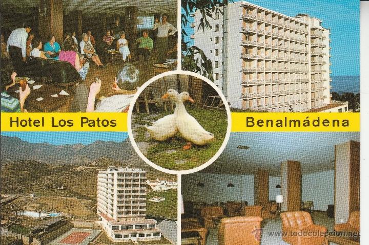 Postales: N&ordm; 22170 POSTAL BENALMADENA MALAGA HOTEL LOS PATOS