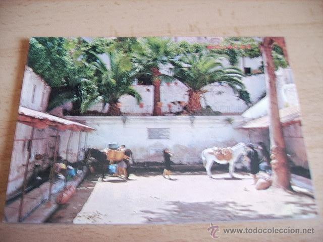 Postales: MOJACAR  ( ALMERIA )  LA FUENTE ARABE