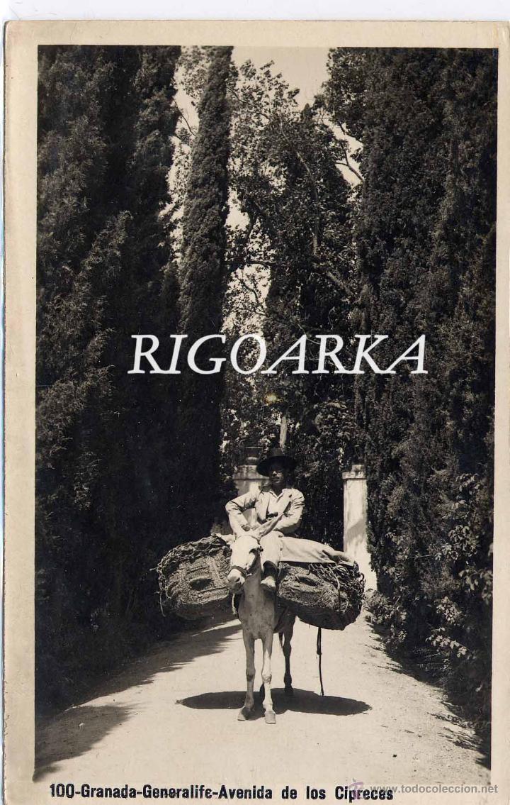 Postales: GRANADA.- GENERALIFE.- AVENIDA DE LOS CIPRESES