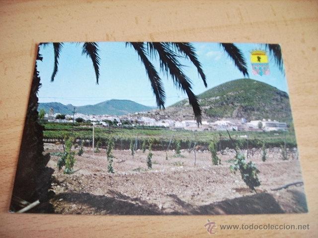 Postales: ALHAMA DE ALMERIA ( ALMERIA )  VISTA PANORAMICA