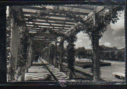 Postcards: TARJETA POSTAL DE JAEN - VISTA DEL PARQUE DE LA VICTORIA. 9. EDICIONES SICILIA