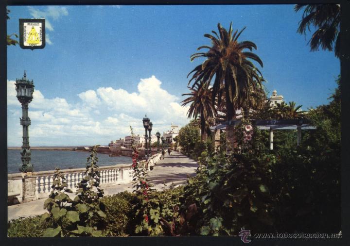 Postales: A-1311- CADIZ. ALAMEDA MARQU&Eacute;S DE COMILLAS.