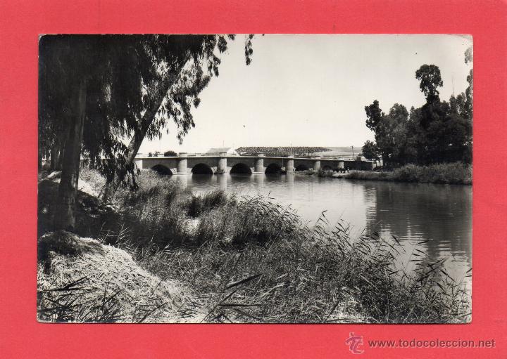 Postales: ecija. 17 puente sobre el genil. h. art&iacute;stica