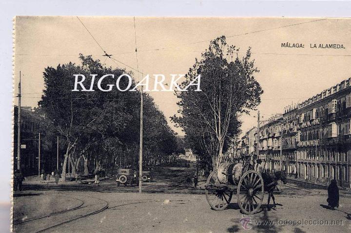 Postales: M&Aacute;LAGA.- LA ALAMEDA - Foto 1
