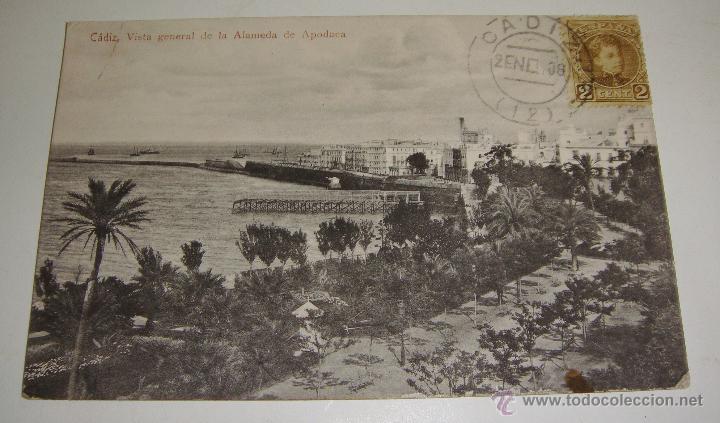 Postales: Postal Antigua &middot; C&aacute;diz &middot; Vista General de la Alameda de Apodaca &middot; Circulada en 1908