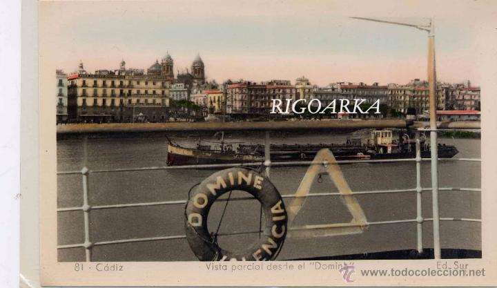 Postales: C&Aacute;DIZ.- VISTA PARCIAL DESDE EL DOMINE