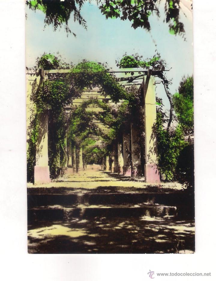 Postales: POSTAL DE ALCANDETE  (JAEN) .