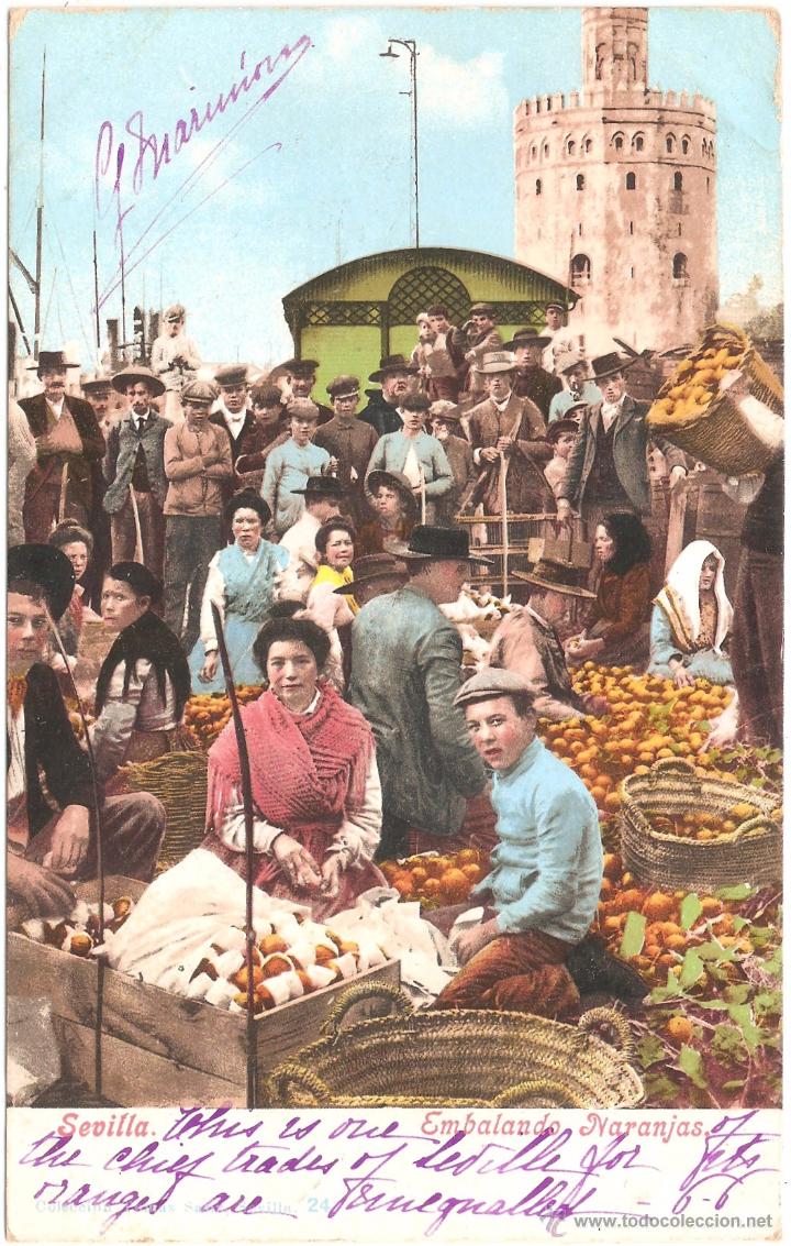 Postales: SEVILLA EMBALANDO NARANJAS.TOM&Aacute;S SANZ N&ordm; 24. FRANQUEADA Y FECHADA EN 1904