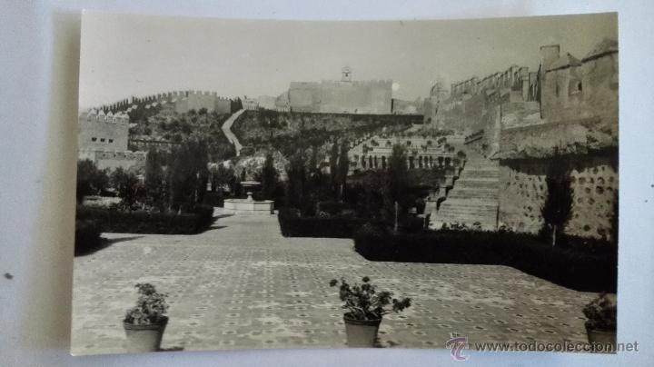 Postales: ALMERIA - JARDINES DE LA ALCAZABA