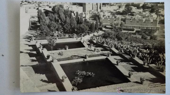Postales: ALMERIA - VISTA PARCIAL Y ALCAZABA