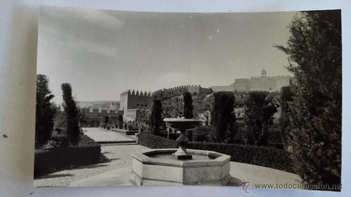 Postales: ALMERIA - JARDINES DE LA ALCAZABA