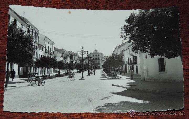 Postales: FOTO POSTAL DE ANTEQUERA (MALAGA) VISTA DE LA ALAMEDA, ED. ARRIBAS 17, CIRCULADA