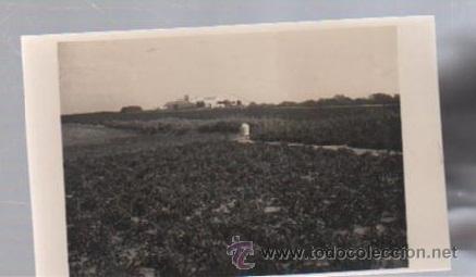 Postcards: TARJETA POSTAL FOTOGRAFICA DE VI&Ntilde;A LA ATALAYA. EL PUERTO SANTA MARIA, CADIZ
