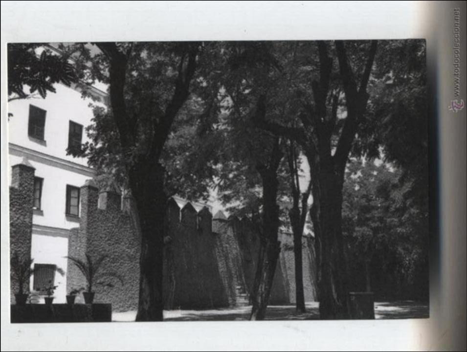 Cartoline: Foto del Antiguo Colegio,Muralla y Jardines del Valle. 1965.