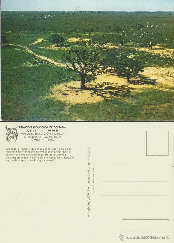 Postales: ESTACION BIOLOGICA DO&Ntilde;ANA HUELVA. PAJARERA.1976.