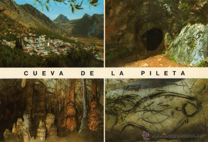 Postales: Postal Cueva de la Pileta (Malaga)