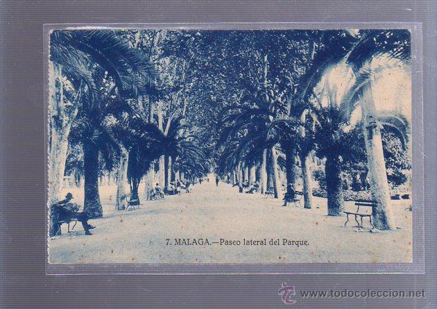 Postales: TARJETA POSTAL DE MALAGA - PASEO LATERAL DEL PARQUE. 7. GRAFOS