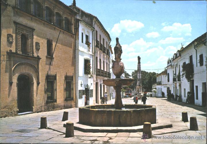 Postales: CORDOBA - PLAZA DEL POTRO