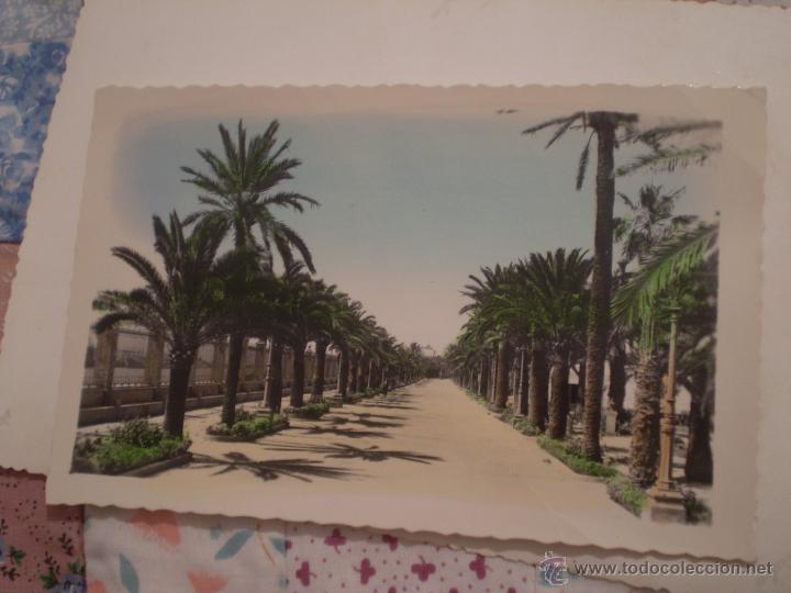 Postales: ANTIGUA POSTAL.PARQUE CALDERON.PASEO PALMERAS.PUERTO DE SANTA MARIA.CADIZ.ARRIBAS.35.