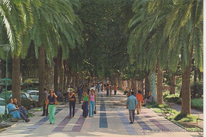 Postales: (1004) MALAGA. PASEO DEL PARQUE