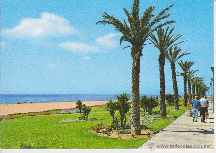 Postales: (3) ALMERIA. ROQUETAS DE MAR. PASEO MARITIMO