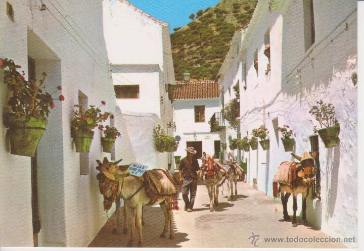 Postales: (2002) MIJAS. CALLE TIPICA - Foto 1