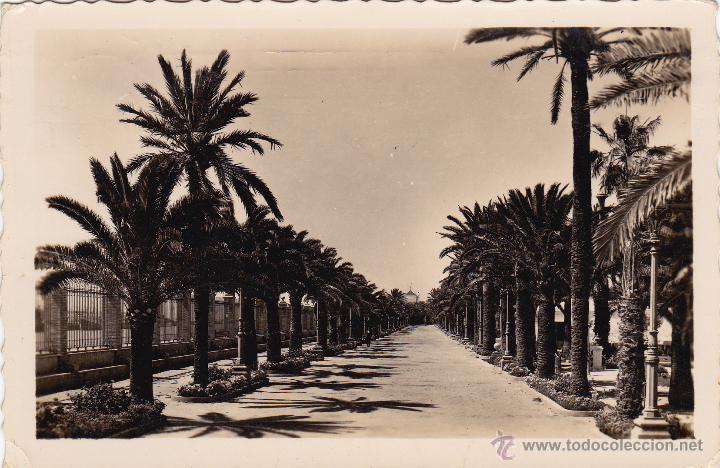 Postales: PUERTO DE SANTA MARIA ( CADIZ ) - PARQUE DE CALDERON.PASEO PALMERAS - ED ARRIBAS - N&ordm; 35 CIRCULADA