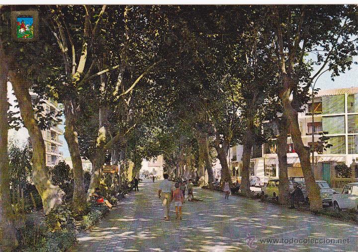 Postales: TORRE DEL MAR - PASEO DE LARIOS - ED. DOMINGUEZ - ESCUDO DE ORO - N&ordm; 32 - SIN CIRCULAR