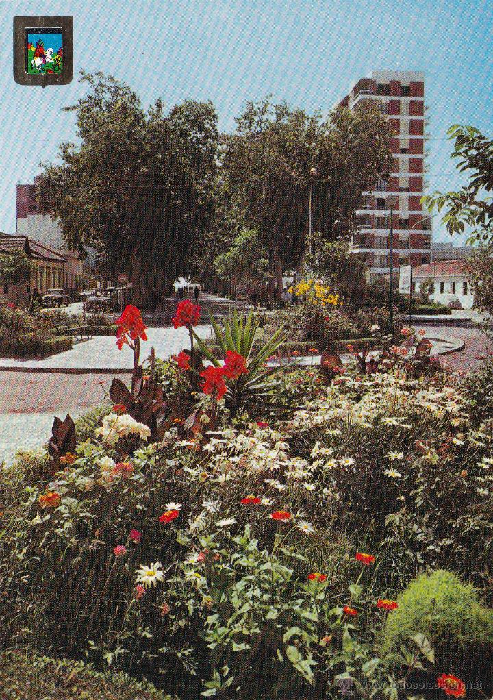 Postales: TORRE DEL MAR - PASEO DE LARIOS - ED. DOMINGUEZ - ESCUDO DE ORO - N&ordm; 17 - SIN CIRCULAR