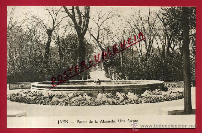 Postales: POSTAL JAEN, PASEO DE LA ALAMEDA, UNA FUENTE, P82865