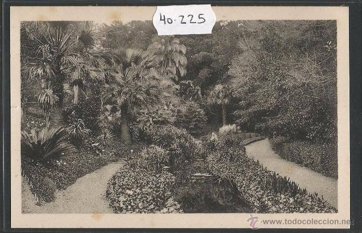 Postales: MALAGA - 37 - JARDINES DE LA CONCEPCION - ROISIN - (40225)