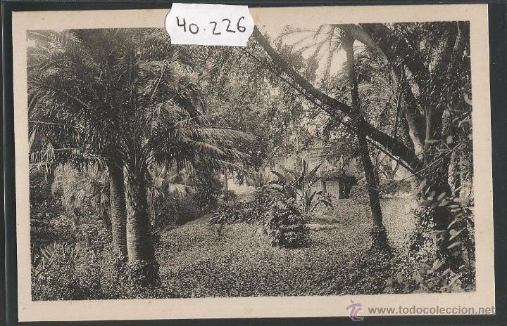 Postales: MALAGA - 38 - JARDINES DE LA CONCEPCION - ROISIN - (40226)