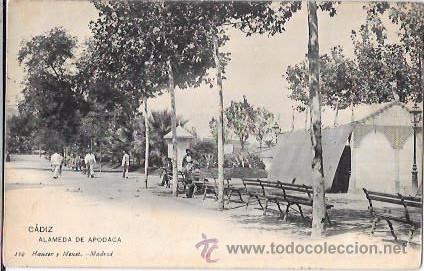 Postkarten: TARJETA POSTAL DE CADIZ. ALAMEDA DE APODACA.