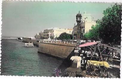 Postkarten: TARJETA POSTAL DE CADIZ. ALAMEDA DE APODACA.