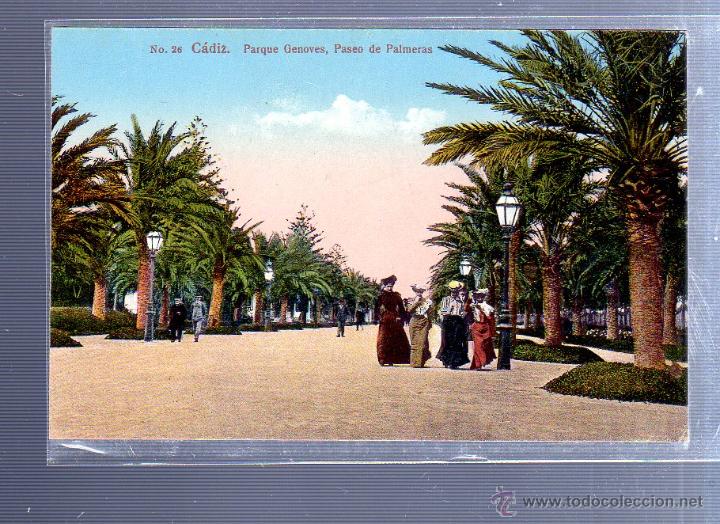 Postkarten: TARJETA POSTAL DE CADIZ - PARQUE DE GENOVES. PASEO DE PALMERAS. 26. GUILLERMO UHL