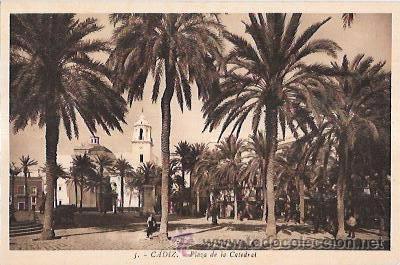Postkarten: TARJETA POSTAL DE CADIZ. PLAZA DE LA CATEDRAL.
