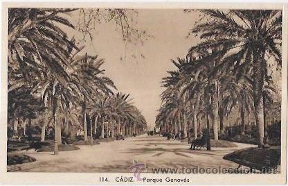 Cartoline: TARJETA POSTAL DE CADIZ. PARQUE GENOV&Eacute;S.