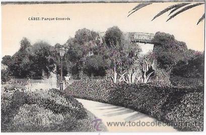 Cartoline: TARJETA POSTAL DE CADIZ. PARQUE GENOV&Eacute;S