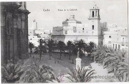 Postkarten: TARJETA POSTAL DE CADIZ. PLAZA DE LA CATEDRAL.