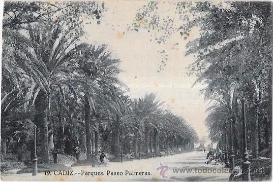 Postkarten: TARJETA POSTAL DE CADIZ. PARQUES. PASEO PALMERAS.